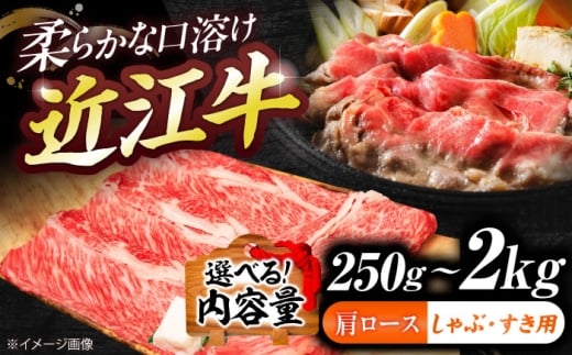 近江牛ロース・肩ロース（すきしゃぶ）750g  栗東市 / 有限会社 岡山 [BIBE091]