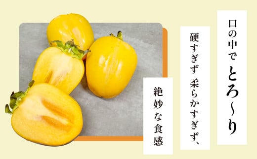 西条柿は中国地方で作られる品種で、縦長の特徴のある形。糖度が高く、果肉は固すぎず、柔らかすぎず口の中でとろけます