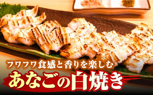 対馬産 天然あなごの開き500g×2《対馬市》【すし処慎一】国産 肉厚 穴子 アナゴ 新鮮 冷凍 白焼き 天ぷら 揚げ物 贈り物 [WCO002]