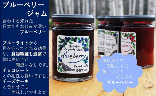 
4種のベリー手作りジャム4個セット 北海道 南富良野町 ジャム ブルーベリー ハスカップ カシス ラズベリー 詰合せ
