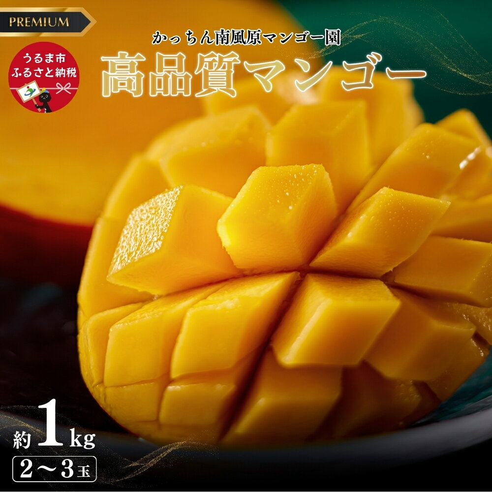 【ふるさと納税】【 先行予約 2026年発送 】高品質マンゴー 秀品 1kg（2〜3玉）沖縄県産 マンゴー 1キロ 訳アリ 国産 完熟マンゴー 果物 南国 くだもの フルーツ 完熟 夏 旬 特産品 沖縄 取り寄せ 産地直送 農家直送 甘い 濃厚 うるま市