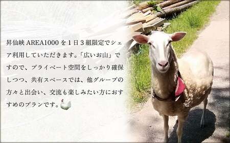 【1日3組限定】AREA1000 遊べるお山で1泊2日 AREA1000キャンプ 山梨県 甲斐市 CU-1