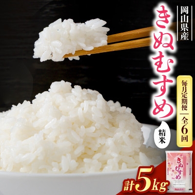 
                  ＜毎月定期便＞＜食味鑑定士厳選＞岡山県産 きぬむすめ 5kg×1袋全6回【4083357】
                