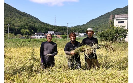 令和7年産　丹波篠山の大地で育まれたコシヒカリ　玄米5kg