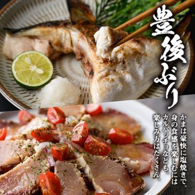 ふるさと納税 佐伯市 <先行予約受付中!2025年12月に順次発送予定>豊後ぶり半身セット (合計1kg以上) |  | 01