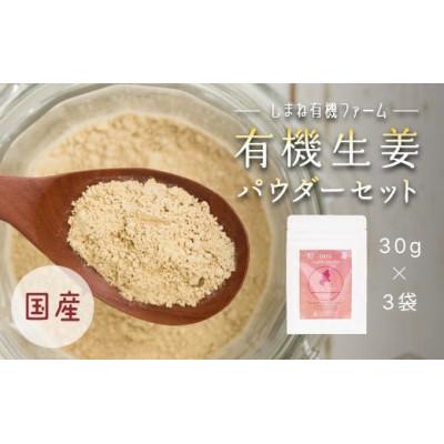 ふるさと納税 江津市 有機生姜パウダーセット(30g×3袋)(無添加)