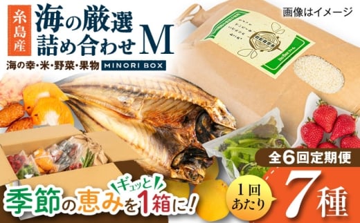 【全6回定期便】糸島産 魚 米 野菜 果物 厳選詰め合わせ MINORI BOX Mサイズ 糸島市 / emma.Inc / 米 魚 野菜 果物 詰め合わせ [AOP025]