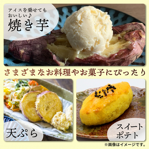 【先行予約】 訳あり シルクスイート 約 10kg さつまいも 2025年 11月以降順次発送予定 【 さつまいも 】