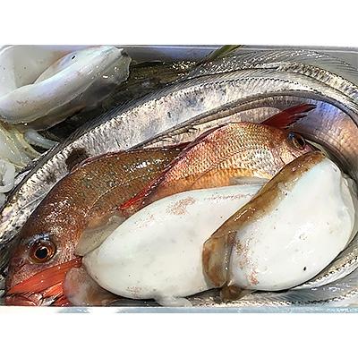 ふるさと納税 八幡浜市 竹中水産の一押し「お任せ鮮魚!」2.5キロ前後【G22-237】