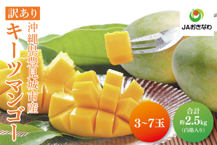 【2026年8月より順次発送】★訳あり★キーツマンゴー 3～7玉(約2.5kg)(白箱)ご家庭用｜訳あり わけあり 訳アリ キーツマンゴー マンゴー キーツ フルーツ 果物 くだもの おきなわマンゴー 家庭用 沖縄県 豊見城市(AE017)