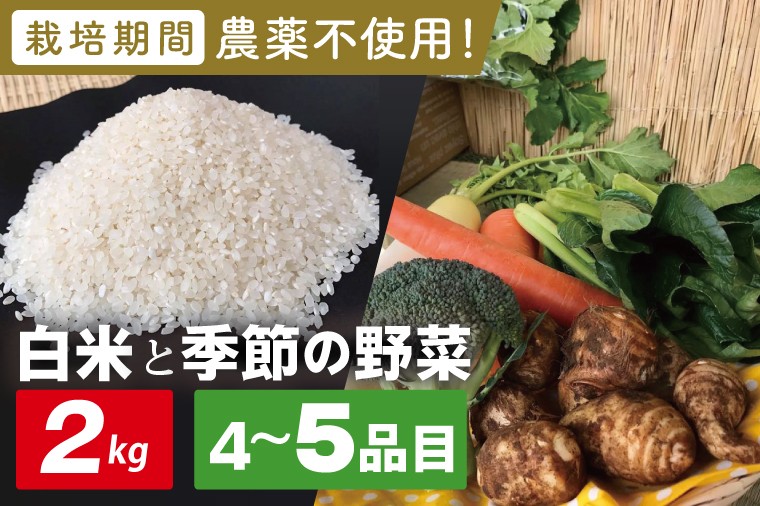 
                  【身体が喜ぶ野菜】白米2kgと季節の野菜(おまかせ4〜5品)(茨城県共通返礼品／潮来市)｜米 お米 こめ 白米 野菜 野菜セット 栽培期間農薬不使用 茨城県共通返礼品 共通返礼品 茨城県 潮来市 行方市(BI-58)
                