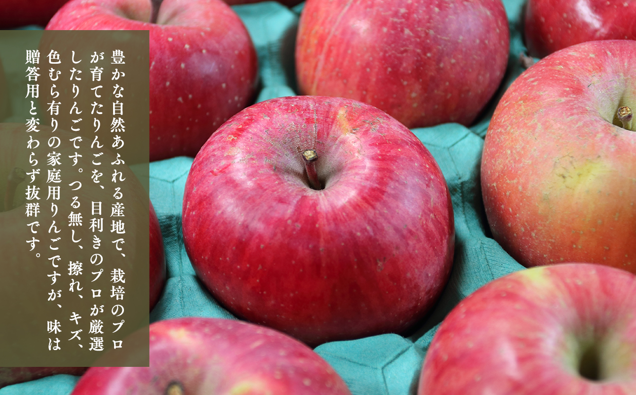 【5月発送開始】隔月配送　定期便６回　訳あり　家庭用　甚八りんご　5kg　【青森県 平川市 マルジンサンアップル】1月 3月 5月 7月 9月 11月 青森 青森県産 平川 りんご リンゴ 林檎 くだ