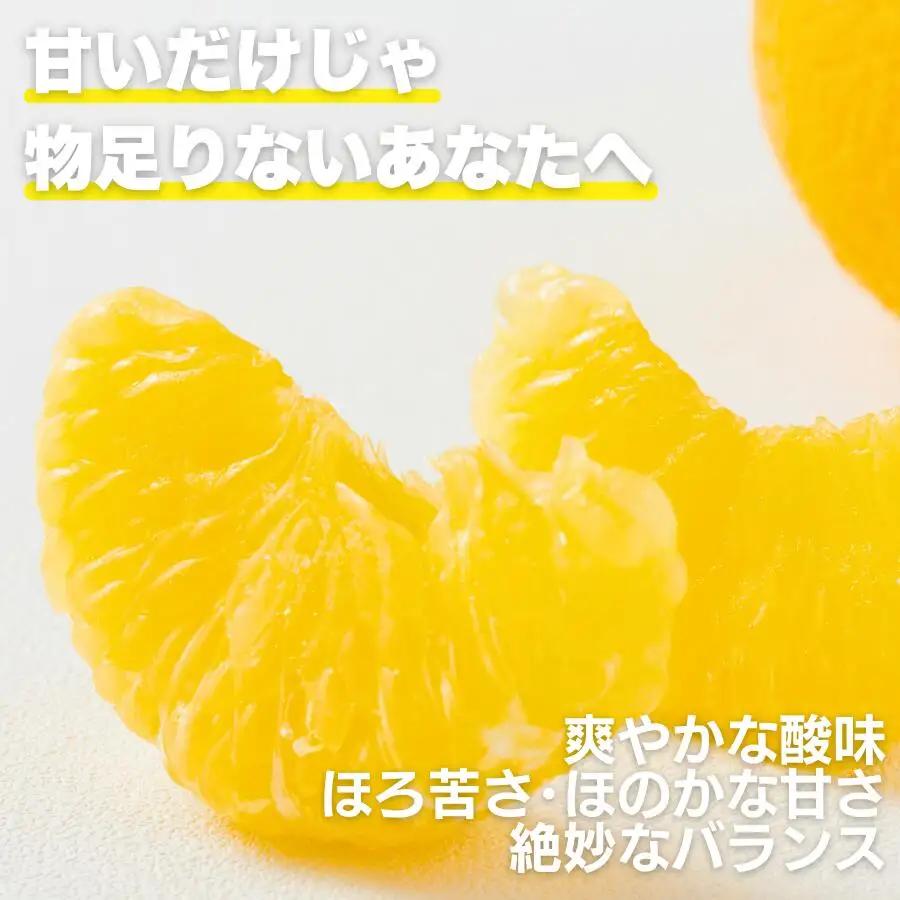 【先行予約】甘夏 8kg 訳あり 甘夏 愛なんよ