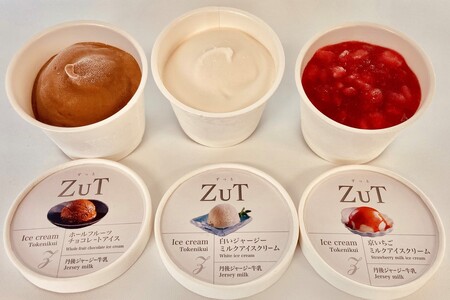 アイス／ZuT溶けにくいアイス (90ml×3種×4個　ミルクアイス・チョコアイス・いちごアイス