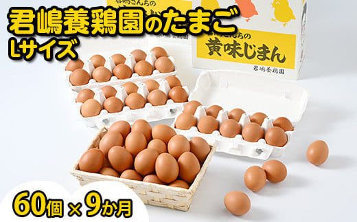 【9か月定期便】君嶋養鶏園のたまご Lサイズ 60個（55個＋割れ補償5個）×9ヶ月 計540個 | 定期便 9ヶ月 9か月 9ヵ月 卵 玉子 たまご 赤卵 赤たまご 生卵 国産 濃厚 鶏卵 コク 旨味※着日指定不可