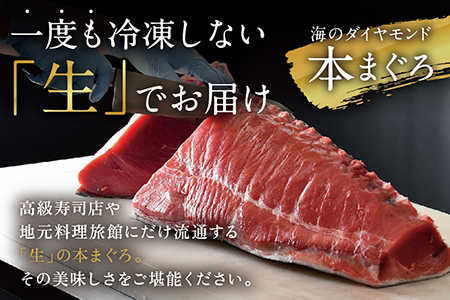 【冷蔵】絶品！生本マグロ　中トロ 350g（柵どり）