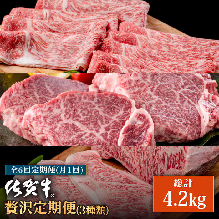【ふるさと納税】【肉のプロが厳選！】【6回定期便】佐賀牛 贅沢 定期便【株式会社いろは精肉店】和牛 ブランド牛 お肉 肉 牛肉 冷凍 ロース ヒレ フィレ ステーキ すきやき すき焼き しゃぶしゃぶ 切落し 切り落とし [IAG075]