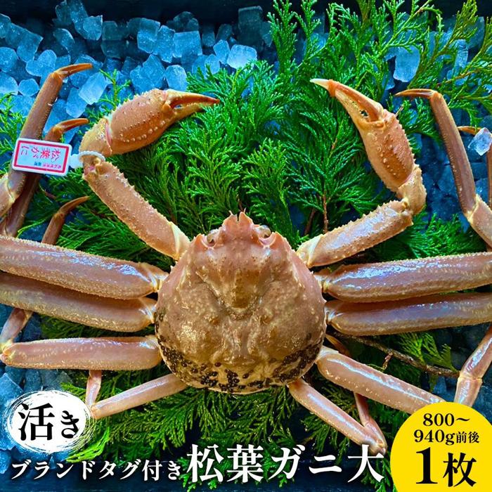 【ふるさと納税】107.【先行予約】【活き】ブランドタグ付き松葉ガニ 大　800～940g前後 1枚 ※2025年11月上旬～2026年3月上旬頃に順次発送予定 | 松葉ガニ 松葉蟹 蟹 かに 甲殻類 ズワイガニ 鳥取県 北栄町 おすすめ 人気 送料無料