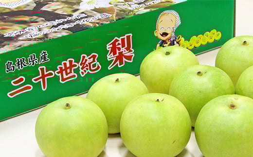 
            15 【8月下旬～発送：数量限定】安来市産二十世紀梨
          