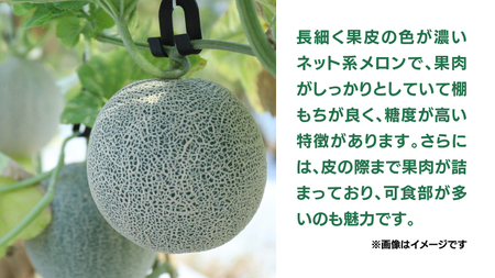 《 先行予約 》茨城県産 タカミ メロン 3L 2玉 ( 約 2.2kg ) 【 2025年発送 】 タカミメロン たかみメロン 果物 フルーツ 青肉 めろん 大玉 3Lサイズ 期間限定 旬 国産 貴