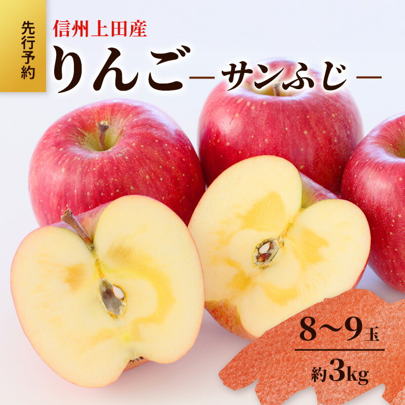 【ふるさと納税】りんご 信州上田産 サンふじ 家庭用 約3kg 8～9玉 リンゴ 林檎 3kg サンフジ 果物 くだもの フルーツ デザート 旬の果物 旬のフルーツ 傷 長野県 長野 上田市　お届け：2025年12月上旬～中旬