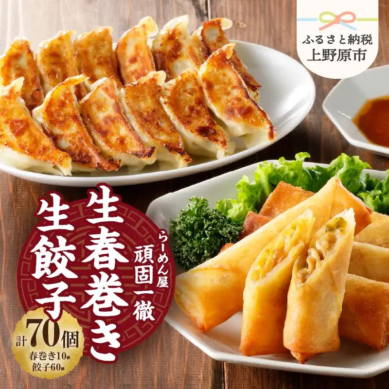 冷凍生餃子(60個)＆生春巻き(10本)セット