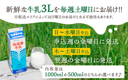 毎週定期便 12回  500ml 牛乳定期便 12回定期便 牧成舎のこだわり牛乳 定期便 