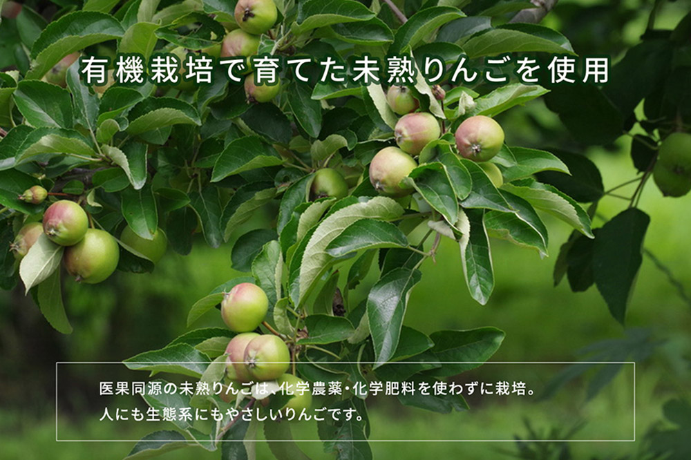 医果同源未熟りんご入り りんごジュース（160g×12本入）
