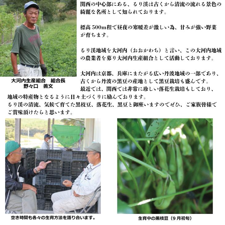 枝豆 京都 2024年 先行予約 黒枝豆 生落花生 るり渓 大河内生産組合発 丹波 野菜 国産 生 落花生 おつまみ えだまめ エダマメ 先行 2024 ※北海道・沖縄・離島への発送不可