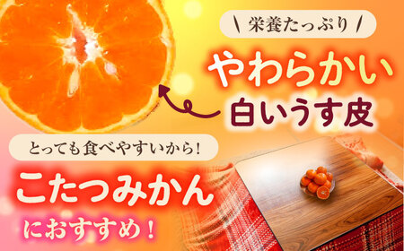 【ご家庭用】 津之望約3kg（つののぞみ） 長与町/果豊園[ECL008]