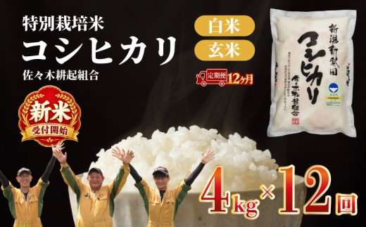 【新米 定期便】 12ヶ月 令和8年産 新潟県産 特別栽培米コシヒカリ 4kg × 12ヶ月 米 お米 ごはん 白米 コシヒカリ 佐々木耕起組合 プレゼント ギフト 贈答 定期便 特別栽培米 佐々木耕起 佐々木こうき 新潟県新発田市産 ssk009