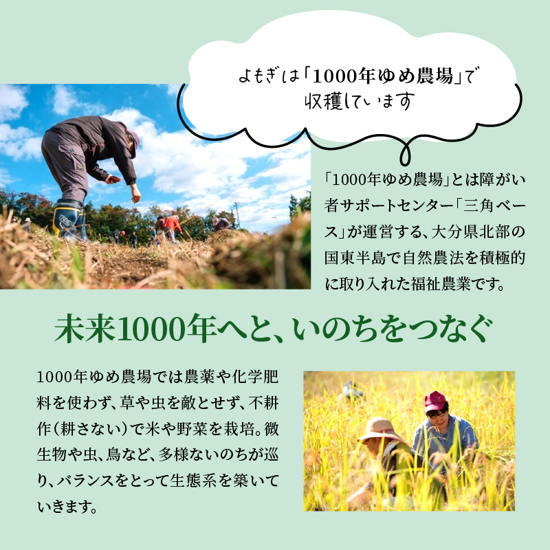 1000年ゆめ農場 よもぎのバスハーブ_1926R