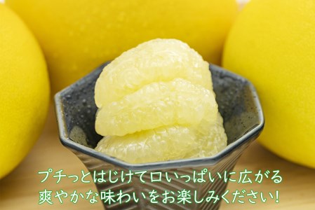 千光士農園の土佐文旦　10kg(ご家庭用スレキズあり)