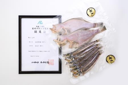 【 5月 ～ 6月 発送 】 【 完全 無加塩 】 姫丸の一夜干し 2品 詰め合わせ 約 300g × 2種類 計 600g 干物 セット メギス ハタハタ 赤ガレイ など お届け内容 おまかせ 季節