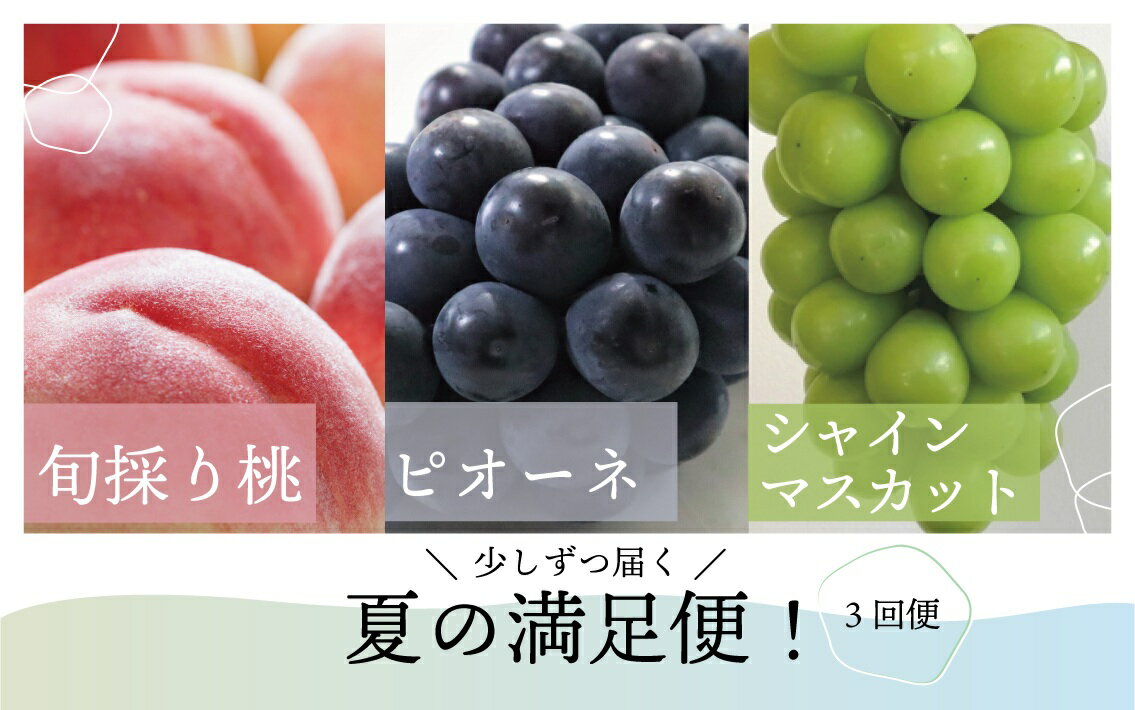 【ふるさと納税】岡山県の旬の 桃 ＆ ピオーネ ＆ シャインマスカット が3回届く 贅沢 定期便 2026年発送 先行予約 種なし シャインマスカット 食べ比べ もも モモ 桃 ブドウ ぶどう 送料無料 数量限定 期間限定 産地直送 人気 果物 ピオーネ フルーツ くだもの 岡山 葡萄