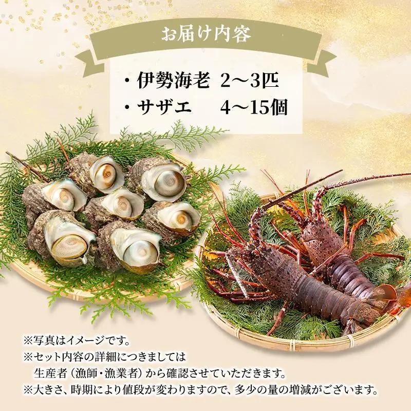 海鮮セット 活伊勢海老 サザエ Aセット 2〜15匹 海鮮セット