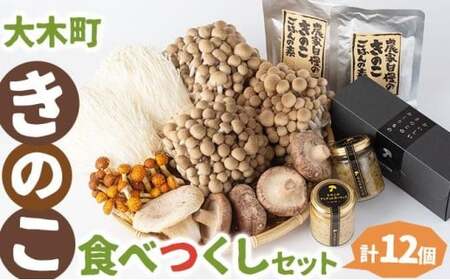 大木町きのこ食べつくしセット　【AZ03】