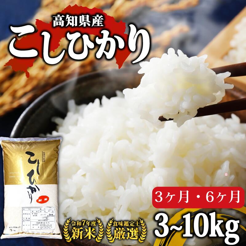 【ふるさと納税】【 R7年度 新米 】 お米 定期便 選べる 3kg 5kg 10kg 3回 6回 米 コシヒカリ 白米 精米 新米 ごはん ご飯 産地直送 食味鑑定士 厳選 高知県産 須崎市 NPO13000