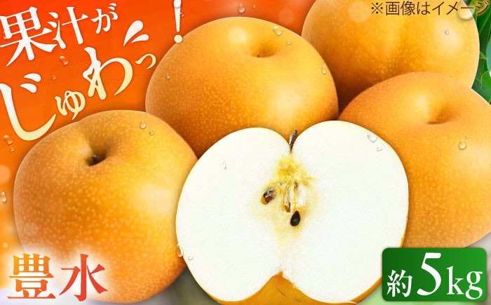 
            【★先行予約★　2025年8月下旬より発送】 梨（豊水） 約5kg なし ナシ 梨 豊水 果物 くだもの 果汁 フルーツ 旬 甘い 食感 丸い 梨 なし 広川町 / JAふくおか八女農産物直売所どろや [AFAB023]
          