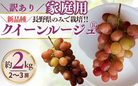 【2026年先行予約】訳あり クイーンルージュ®  約2kg（4~6房）※最低1.8kg以上｜ ぶどう ぶどう