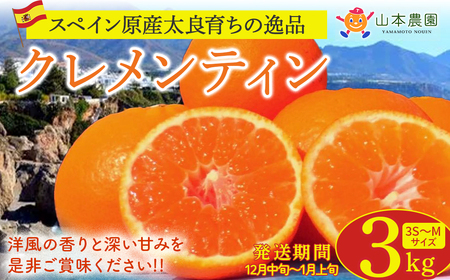 山本農園のクレメンティン 3kg 【2026年1月下旬～2月下旬迄順次発送予定】 クレメンティン みかん 柑橘 国産 オレンジ マンダリン 希少 ジューシー くだもの 果物 フルーツ 新鮮 贈り物 ギフト 佐賀県 太良町 L41