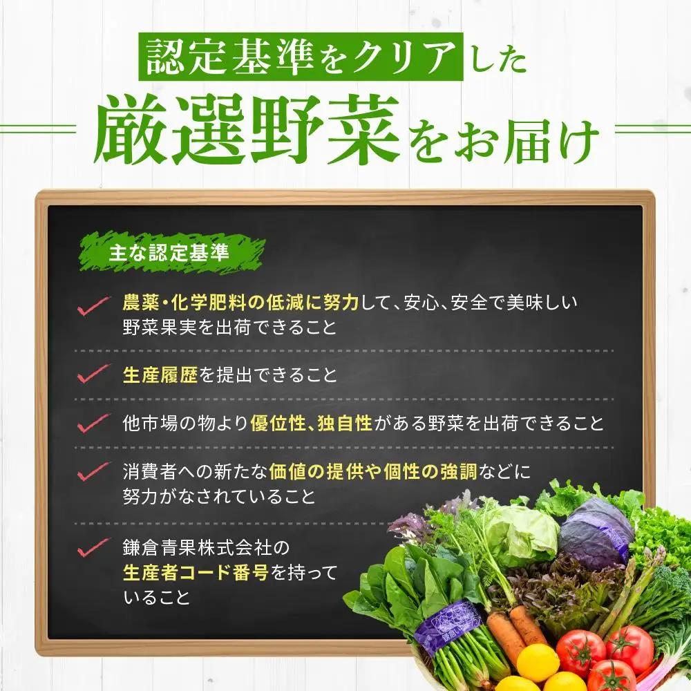 【ふるなびWEEK対象】「鎌倉いちばブランド」新鮮お野菜詰め合わせセット 10～15品 | 野菜 人気 詰合せ