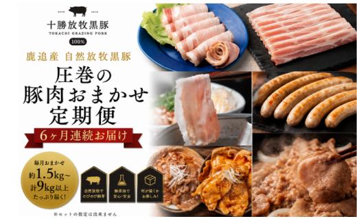 鹿追産 自然放牧黒豚 圧巻の豚肉おまかせ定期便（６ヶ月分） 【 ふるさと納税 人気 おすすめ ランキング 黒豚豚豚肉黒豚肉黒豚生ソーセージ黒豚ベーコン黒豚ロースハム定期便 北海道 鹿追町 送料無料 】 SKN010