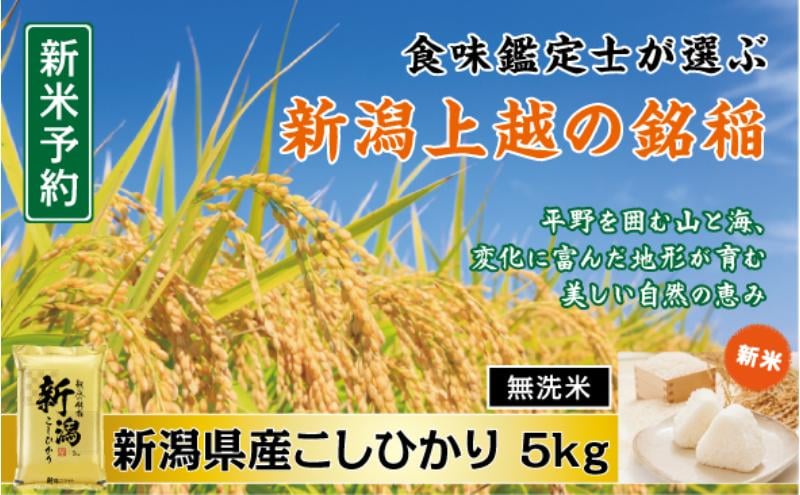 
            令和7年産 先行予約 食味鑑定士厳選 新潟県産こしひかり 無洗米 5kg 上越市 米 コメ コシヒカリ
          