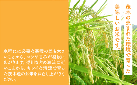 令和7年産新米 こだわりのコシヒカリ 10kg | コシヒカリ 精米 栃木県 茂木町
