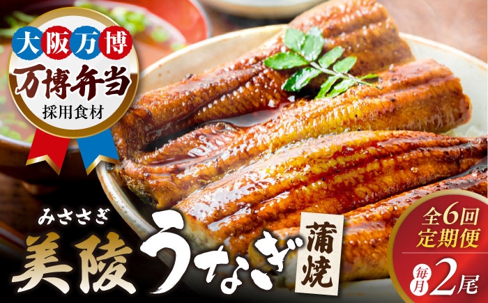 
                  【全6回定期便】鰻 鰻の蒲焼 2尾/ 美陵鰻 鰻 うなぎ ウナギ 蒲焼 蒲焼き かば焼き かばやき 白焼き 白焼 しろやき しらやき 特大 肉厚 うな重 うな丼 ひつまぶし 惣菜 おかず タレ 山椒 国産 土用 丑の日 ギフト 美陵鰻 関西風地焼き 高級 ふっくら 冷凍 定期 国産うなぎ 蒲焼き おすすめ 人気 / 大阪府藤井寺市/Giverichホールディングス株式会社 [BLAM008]
                