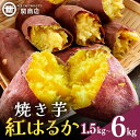 【ふるさと納税】関商店 焼き芋 紅はるか 1.5/3kg/6kg 期間限定 1箱/2箱/4箱 国産 茨城県産 砂糖不使用 焼き芋 やきいも 焼芋 焼きいも べにはるか ベニハルカ 甘い 柔らかい 安心 安全 品質 食味 重視 おやつ 62-SKU-B