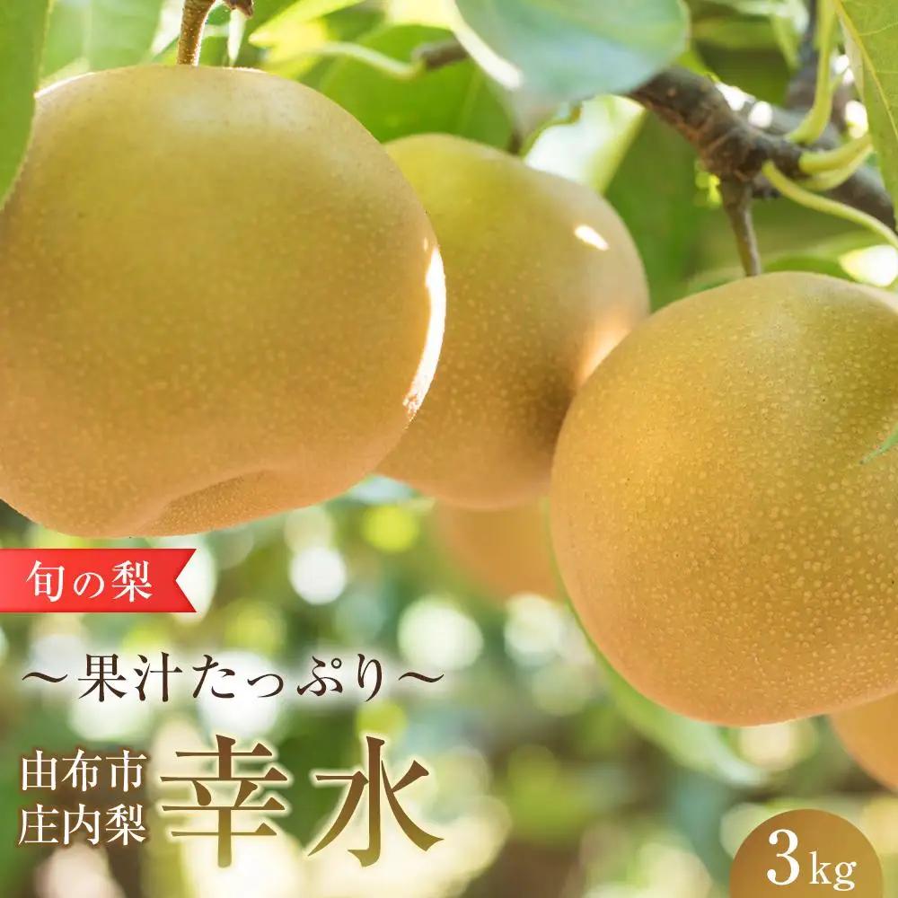 旬の梨 幸水 3kg 庄内梨 大塚梨園＜2025年8月中旬以降発送＞ | 幸水