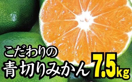  【2025年秋頃発送予約分】【農家直送】こだわりの青切りみかん 約7.5kg サイズお任せ 有機質肥料100%　※2025年9月下旬より順次発送予定（お届け日指定不可）/ミカン 蜜柑 柑橘 フルーツ くだもの 果物 【nuk107E】