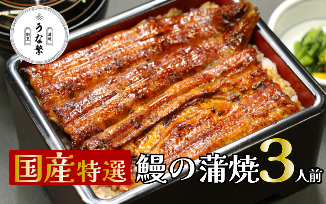 
                  うなぎ 蒲焼 真空パック 特選 国産 ３人前 うな繁 うな重 ひつまぶし たれ付き お中元 ギフト 富士山 湧水 ウナギ 鰻 土用 丑の日 個包装 人気 美味しい 小分け 静岡県
                